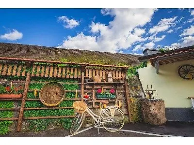Slovenian House Vida Bed & Breakfast Ljubljana