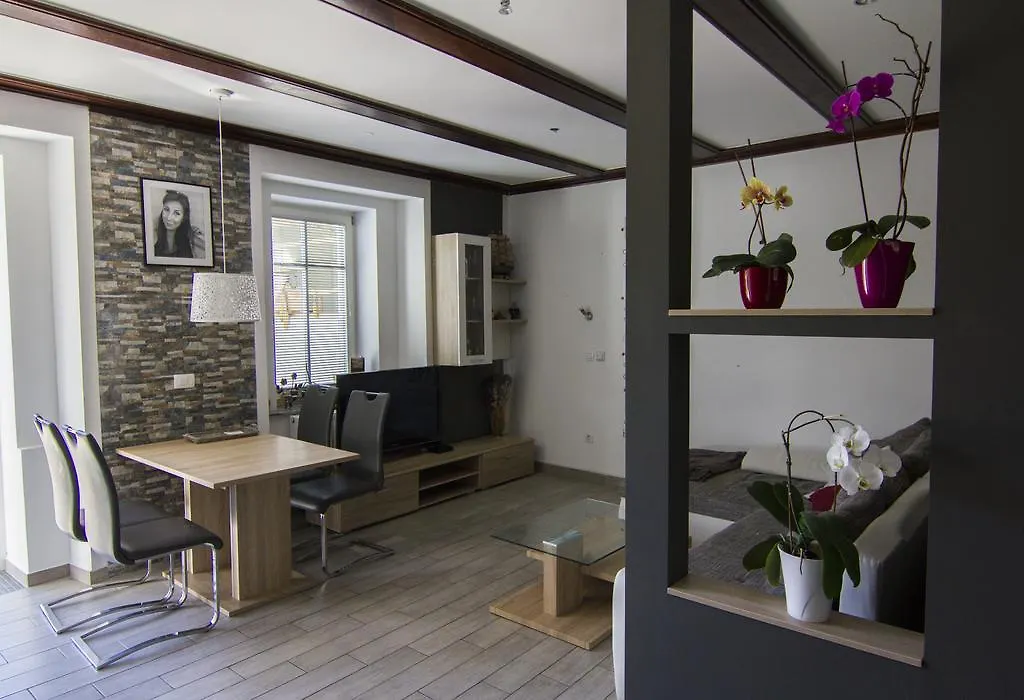卢布尔雅那Slovenian House Vida住宿加早餐旅馆